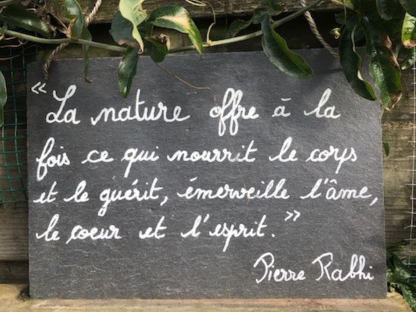 Citation de Pierre Rabhi