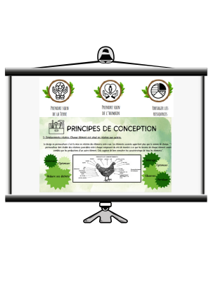 projection-formation